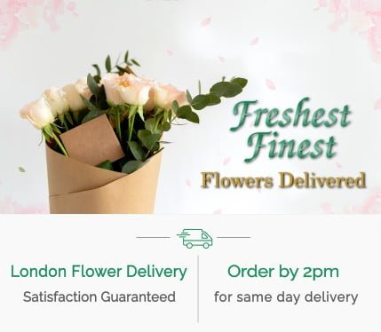 home-page-banner-mobile