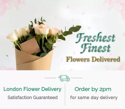 home-page-banner-mobile