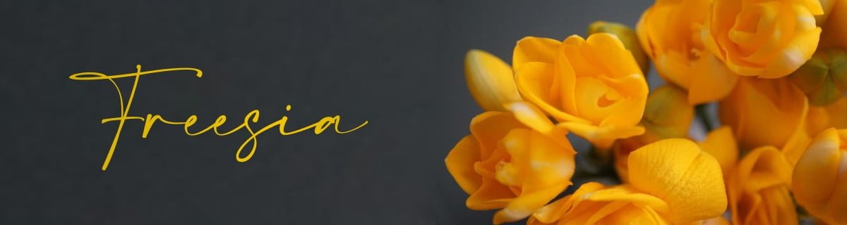 freesia