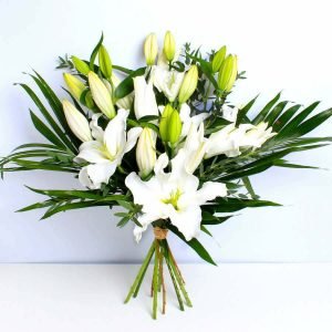White Lily
