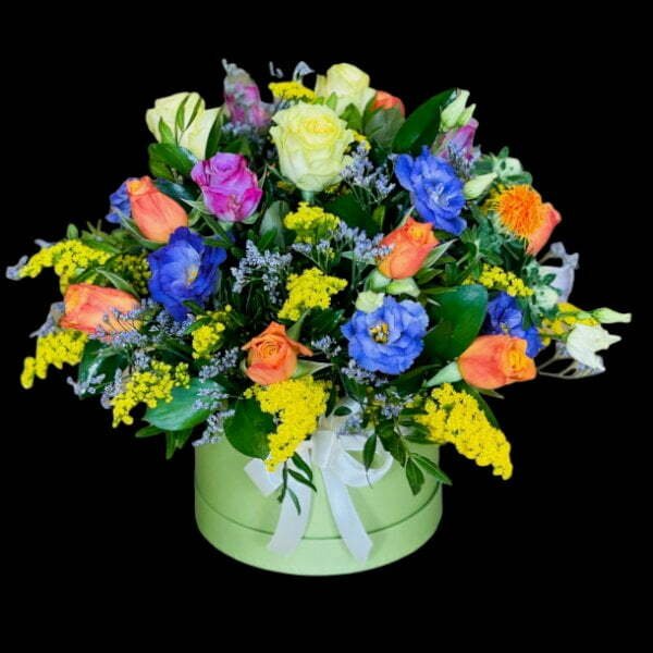 Nottinghill Hatbox Side View