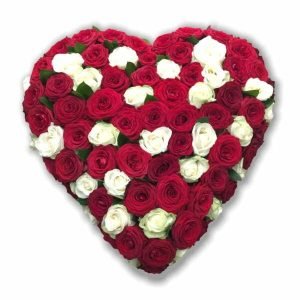 Solid red and white Rose Heart