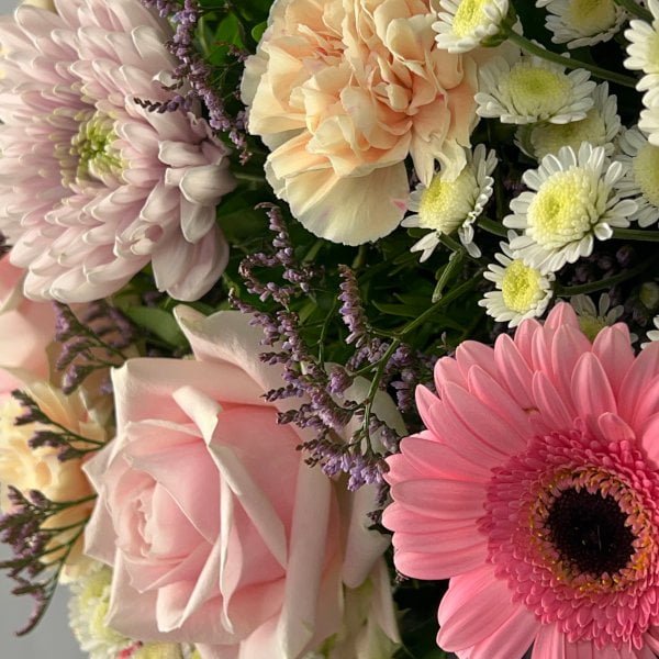 Pretty and Pink 2 Pretty and Pink-close-view-edit